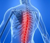 МРТ позвоночника: точная диагностика от грыжи до опухолей спинного мозга