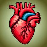 Компьютерная томография сердца: точная диагностика для здоровья вашего сердца