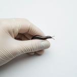 Гирудотерапия: древнее искусство оздоровления