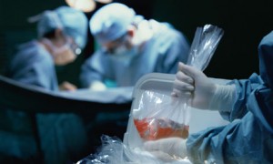 Увеличивается количество трансплантации органов в России 