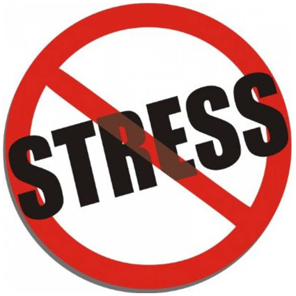 Стресс: причины возникновения и механизмы развития | «Лечебно-диагностический центр на Вернадского». Картинка 1